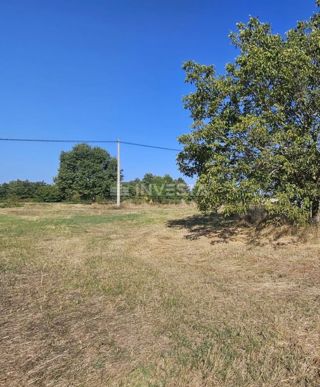 Zazidljivo Zemljišče 1.246 m² Blizu Žminja