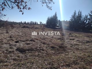 Okolica Višnjana, gradbeno zemljišče 5.000 m2