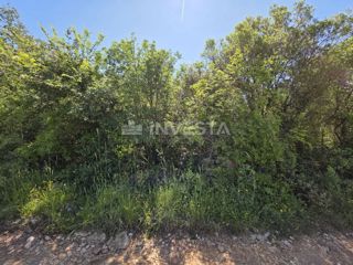 Območje Fažane, Peroj, gozd 450 m od morja