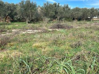 Gradbena parcela v mirni in zaželeni coni