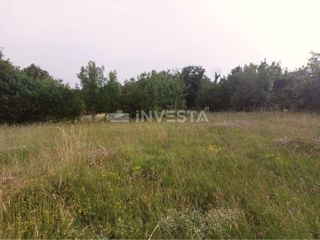 Tinjan, Gradbena Zemljišča 3197 m² + 971 m² Kmetijska Zemljišča
