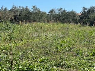 Pulj, Gradbeno zemljišče v izmeri 1260 m²