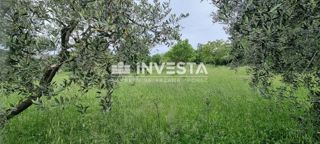 Kaštelir, gradbeno zemljišče 752 m2