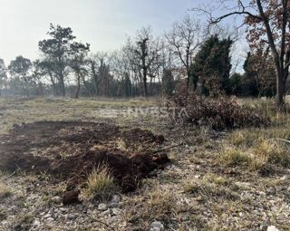 Gradbeno zemljišče na mirni lokaciji