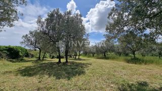Vodnjan, Galižana, Gradbena parcela z razgledom na morje