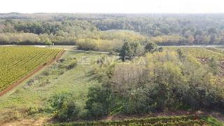 Zemljišče Kaštelir, Kaštelir-Labinci, 8.200m2