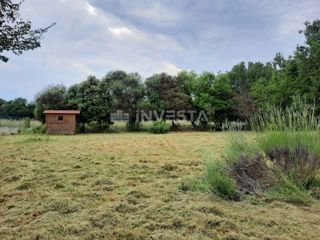 Šišan, Kmetijsko Zemljišče 1451m², Blizu Morja