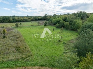 Istra, Poreč 4527 m2 kmetijsko zemljišče - Istra