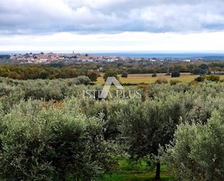 PRILOŽNOST! Lep, velik apartma z dvoriščem - panoramski pogled na morje!!