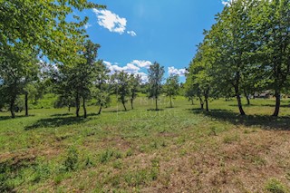 Poreč, okolica, zazidljivo zemljišče v naravi