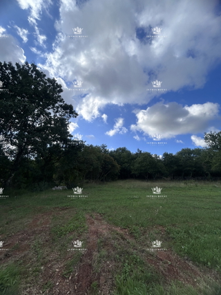 Istra, Baderna, gradbena parcela 1190 m2, vsa infrastruktura, M-namen, pogled na morje