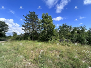 Gradbena parcela 1000 m² na privlačni lokaciji - MARTINČIĆI, GROŽNJAN, ISTRA.