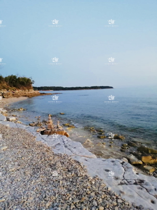 Istra, Mareda, stanovanje, garsonjera, 28 m2, 150 m do morja, plaža, pogled na morje, popolnoma obnovljeno