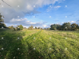 Gradbeno zemljišče 7.335 m² – Žminj, Istra | Izgradljivost 40 %, idealno za več vil