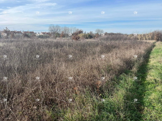 Istra, Umag, gradbeno zemljišče 3000 m2, investicija za gradnjo stanovanjske stavbe