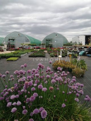 Kmetijsko zemljišče s 3 rastlinjaki