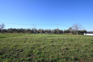 Zemljišče Poreč, 1.015m2