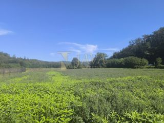 Zemljišče Beram, Pazin - Okolica, 6.200m2