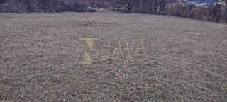 Zemljišče Čavle, 11.500m2