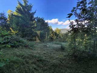 Zemljišče Sunger, Mrkopalj, 4.100m2