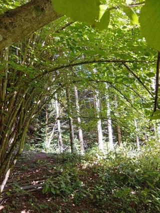 Zemljišče Lukovdol, Vrbovsko, 31.176m2