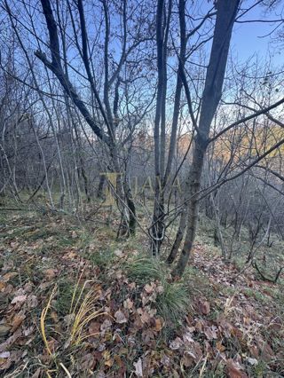 Zemljišče Draguć, Cerovlje, 30.000m2