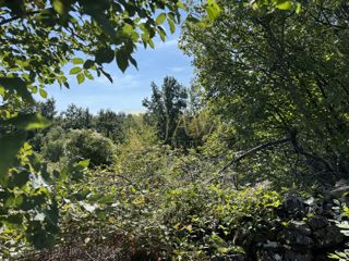 Zemljišče Sroki, Viškovo, 1.007m2