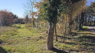 Zemljišče Labin, 2.446m2