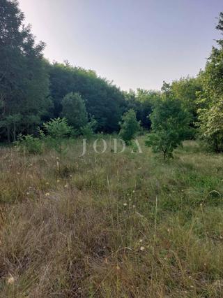 Zemljišče Kunj, Raša, 5.661m2