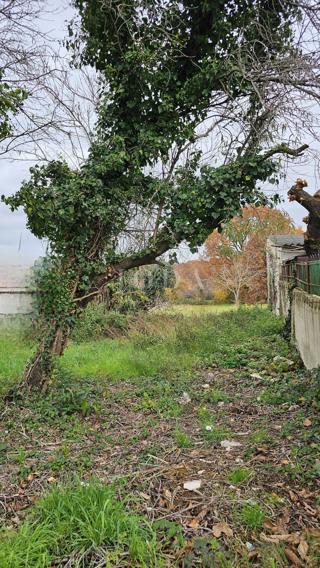 Zemljišče Brtonigla, 517m2