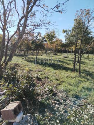 Zemljišče Barban, 1.284m2