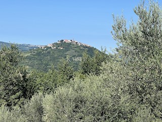 Istra, Motovun zazidljivo zemljišče pod starim mestnim jedrom