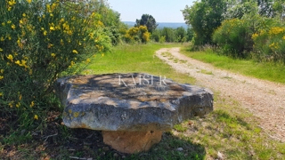 Istra - Kaštelir, kmetijsko zemljišče, gozd 8740 m2