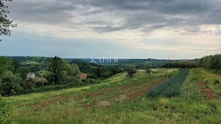  Zazidljivo zemljišče Grožnjan, 1.560m2