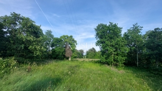 Istra, okolica Buj - zazidljivo zemljišče z lepim razgledom