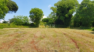 Istra - Kaštelir, gradbeno zemljišče s komunalno opremo 1550m2