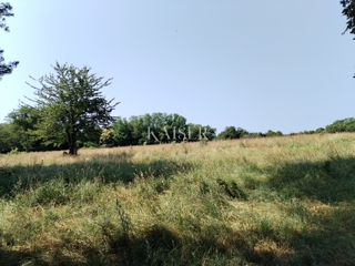Kmetijsko zemljišče Buzet, 36.512m2