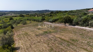  Zazidljivo zemljišče Buje, 1.032m2