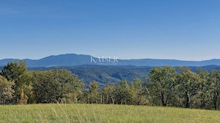 Istra, Motovun, zazidljivo zemljišče za luksuzne vile