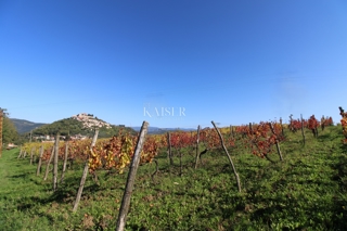 Istra - Motovun, zazidljivo zemljišče, pogled na Motovun