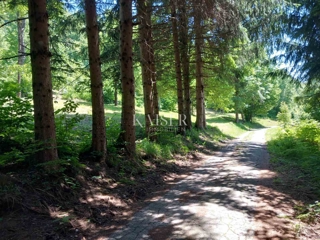 Kmetijsko zemljišče Kamensko, Vrbovsko, 7.176m2