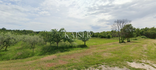 Istra, Baderna - kmetijsko zemljišče 15.300m² s sadnim drevjem