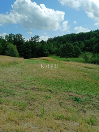 Ravna Gora, Stari Laz - gradbeno zemljišče 1500 m2 z gradbenim dovoljenjem