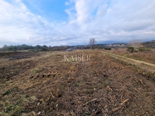 Zadar - Krneza: kmetijska zemljišča, ogromen potencial