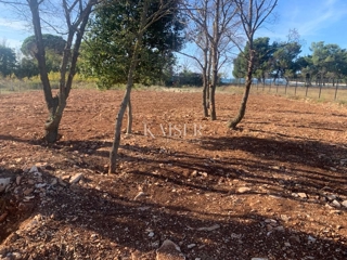 Istra, Fažana - kmetijsko zemljišče 660m2 le 50m od morja