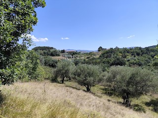 Istra, Buzet - gradbeno zemljišče s pogledom na naravo