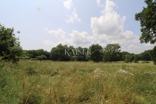 Kmetijsko zemljišče Labin, 11.279m2