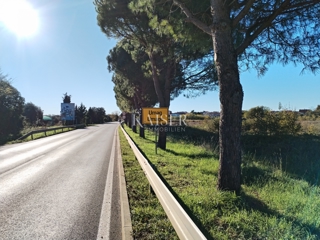  Zazidljivo zemljišče Umag, 437m2