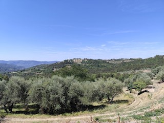 Istra, Buzet - stara hiša z zazidljivim zemljiščem