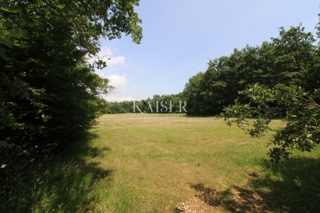 Kmetijsko zemljišče Labin, 13.720m2